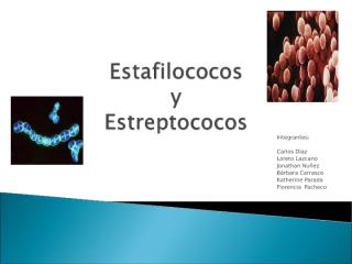 estafilococos y estreptococos.ppt