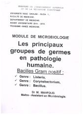 bacterio09-bacilles_gram_positif.pdf