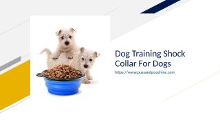 Dog Training Shock Collar For Dogs.ppt